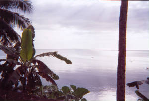 view4.jpg